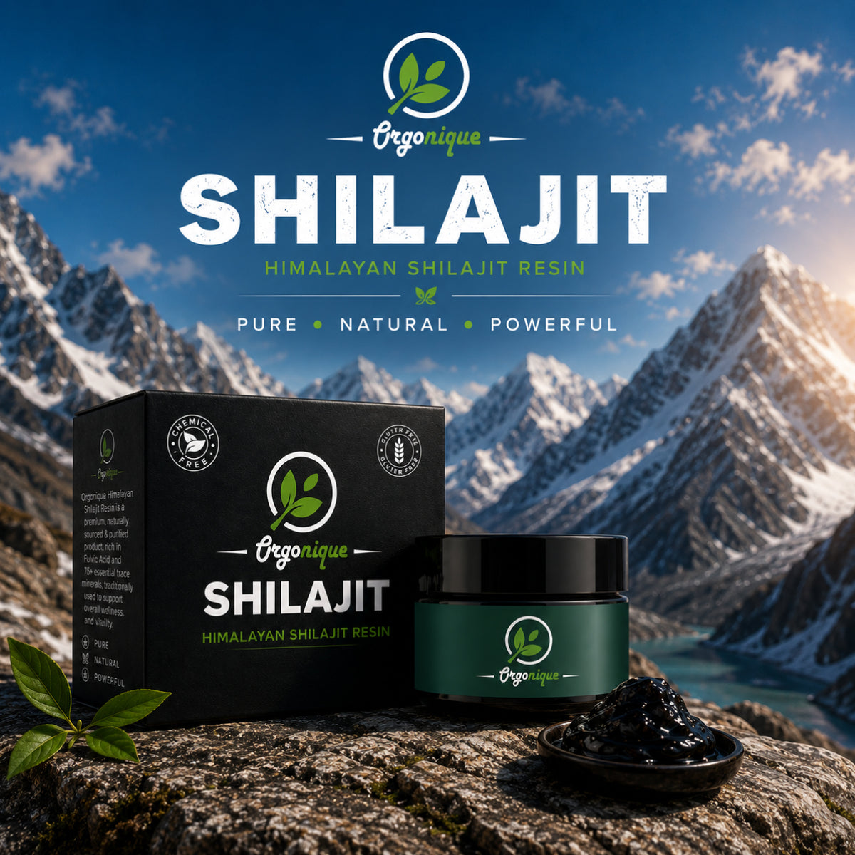 Himalayan Shilajit Resin 25g